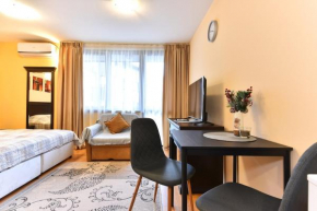 Maksimovi's studio 1 Bansko